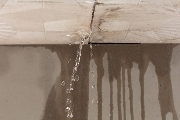 Professional Burst Pipe Cleanup technician working in Joppa, AL